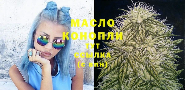 сатива Балахна