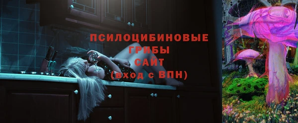 сатива Балахна