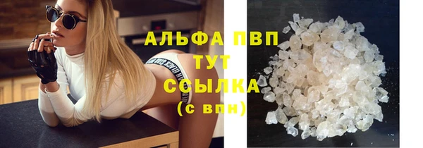 сатива Балахна