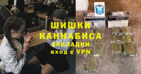 крисы Ростов