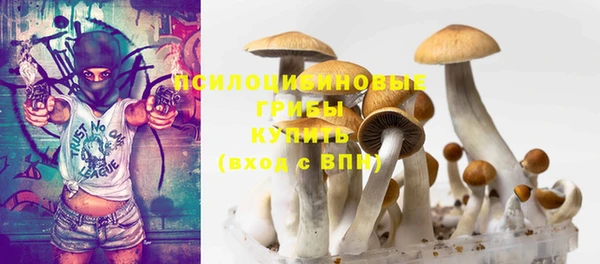 сатива Балахна